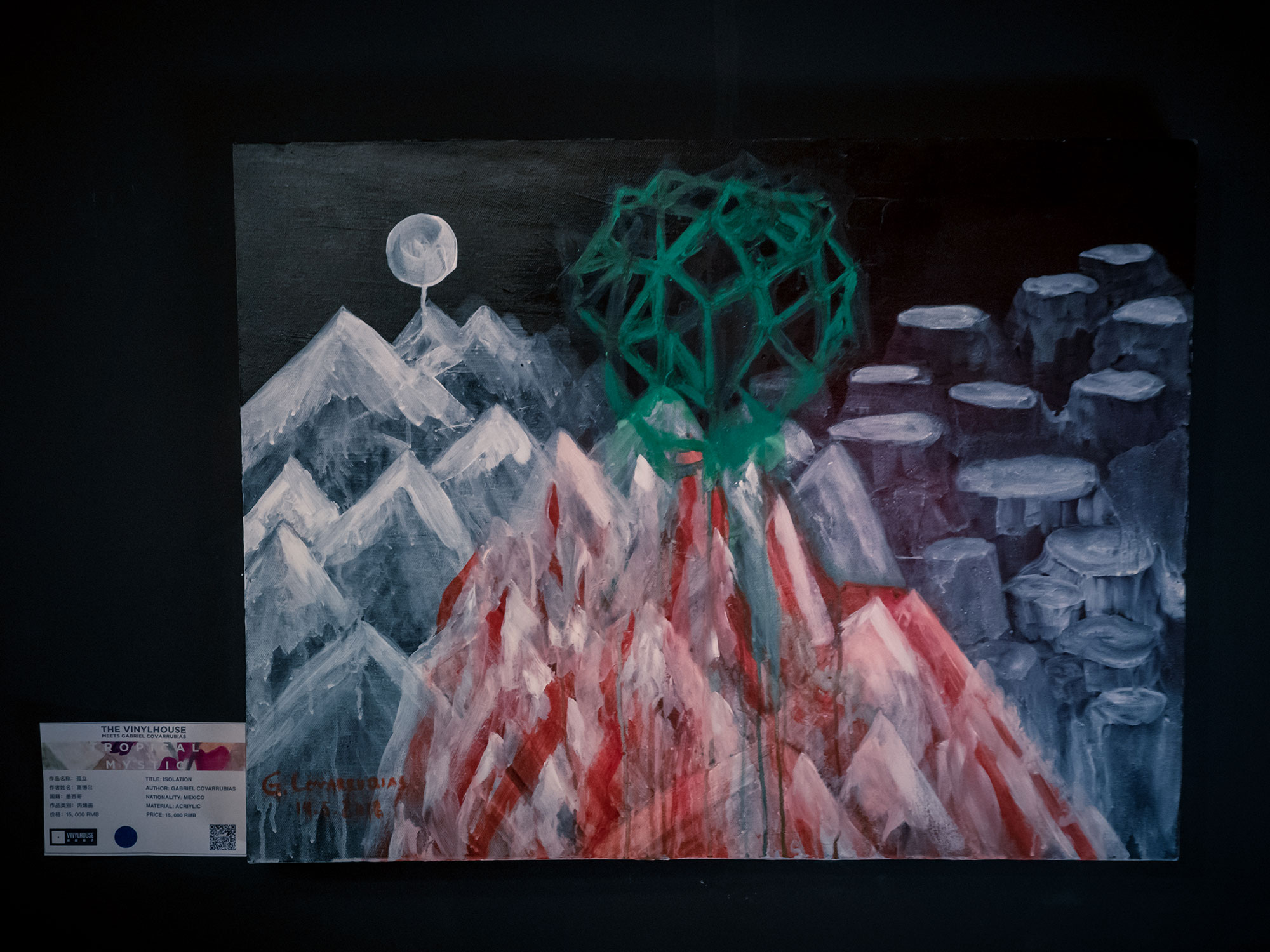 2019, “Tropical Mystic”, The Vinylhouse, Xi’an, China image 10